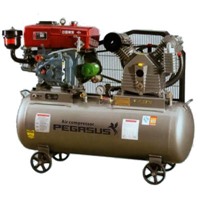 Máy nén khí chạy bằng dầu Diesel TM-W-2.0/8-500L