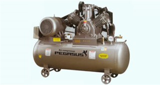 Máy nén khí piston PEGASUS TM-V-0.25/12.5-180L